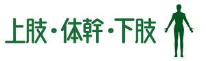 上肢・体幹・下肢