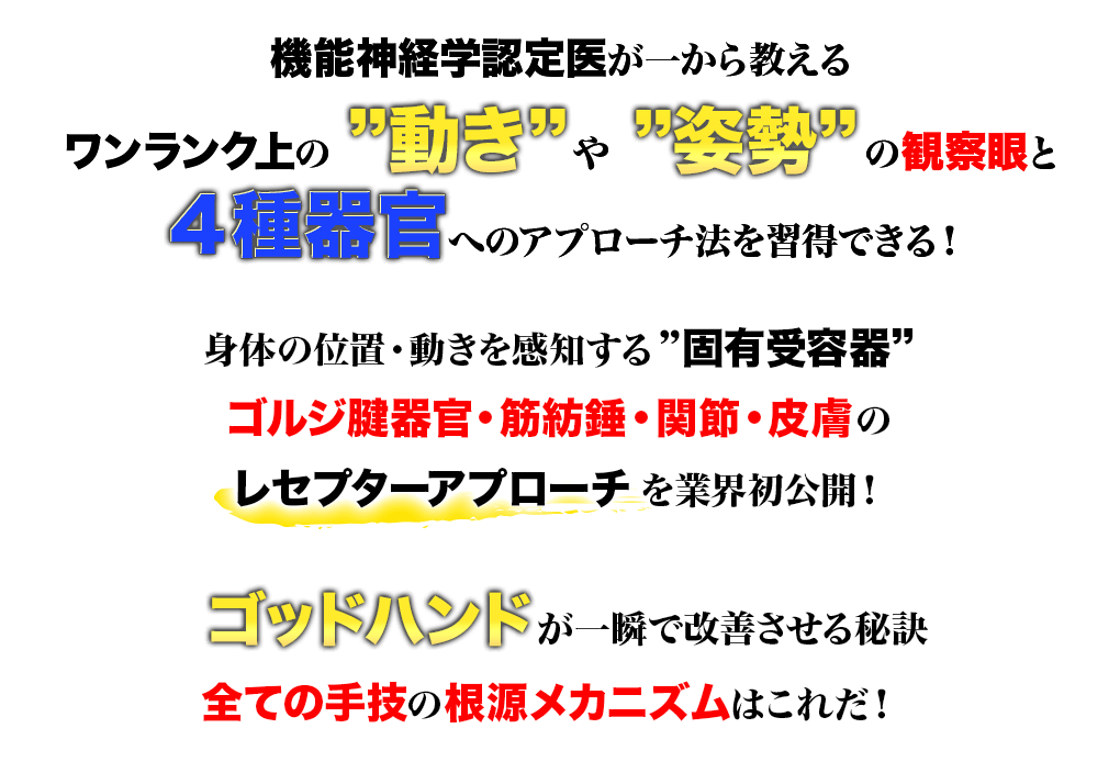 レセプターアプローチDVD＜セミナー編＞＆＜解説編＞|手技オンライン