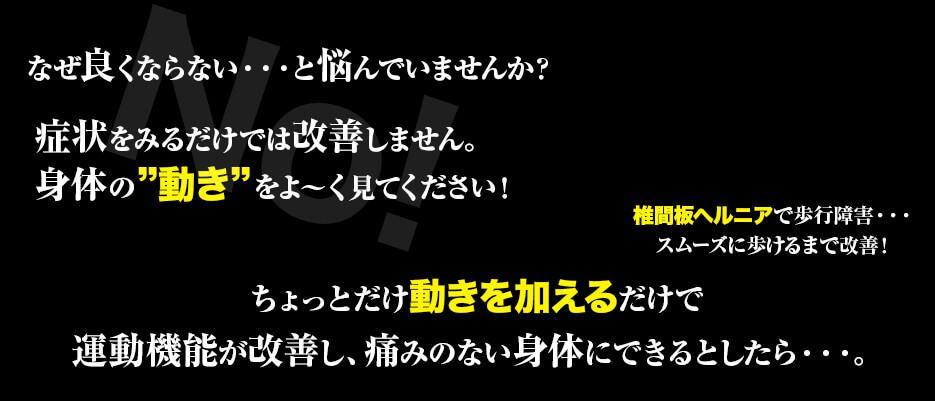 レセプターアプローチDVD ＜セミナー編＞×＜解説編＞ フルセット