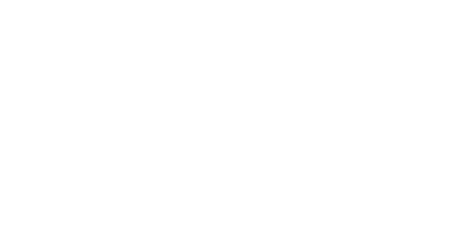 SHINZUI