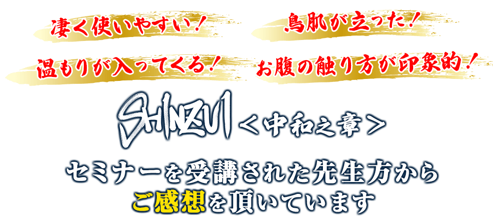 ふるさと納税 肘井博行 SHINZUI~手技療法の\