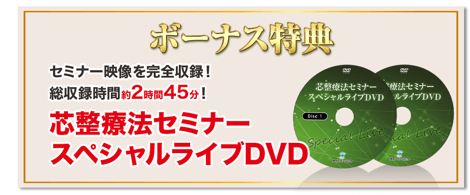 心身療術整体DVD VOL.2 芯整療法