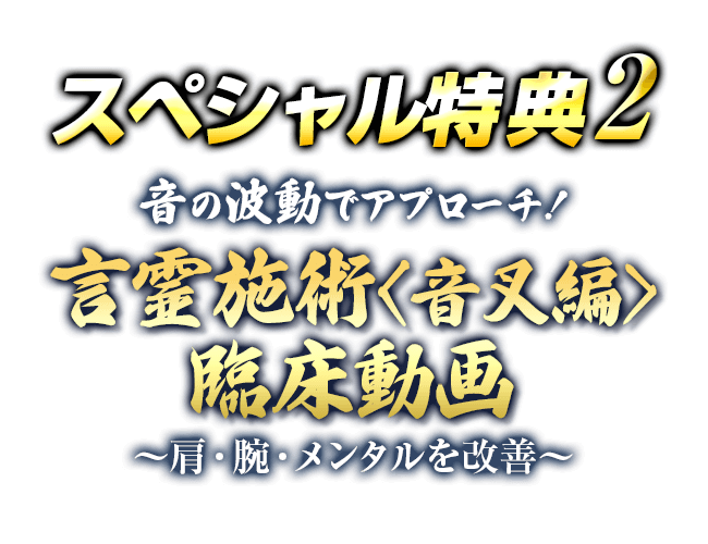 日本製 言霊施術DVD&言霊施術セミナーDVD 言霊施術DVD - htii.edu.kz