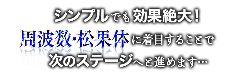 注目ショップ・ブランドのギフト 『手取屋式メソッド 瞬間調律ⅡDVD+