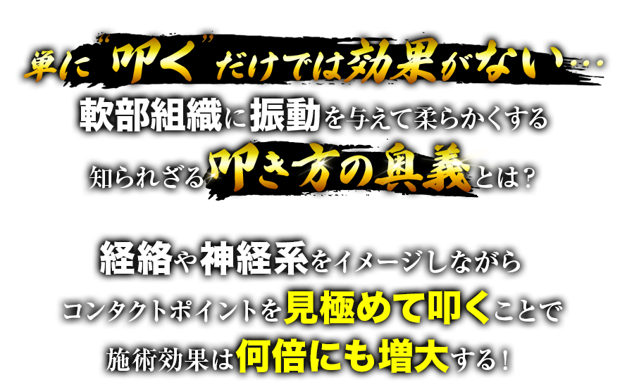 夢幻流波動療法＜打法編＞～軟部組織に振動を与え瞬時に身体を覚醒させる～