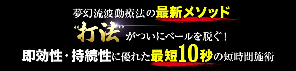 夢幻流波動療法＜打法編＞～軟部組織に振動を与え瞬時に身体を覚醒させる～