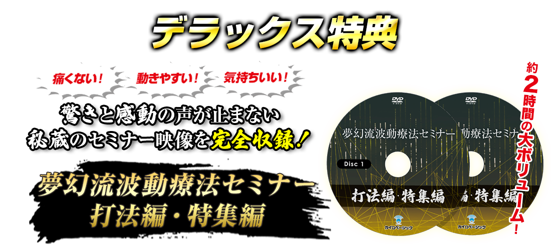 夢幻流波動療法＜打法編＞～軟部組織に振動を与え瞬時に身体を覚醒させる～